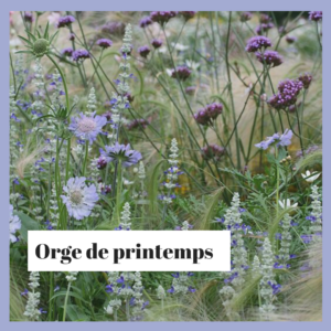 culture orge sur balcon