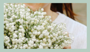 blog jardinage : culture du muguet, fleur de mai porte chance