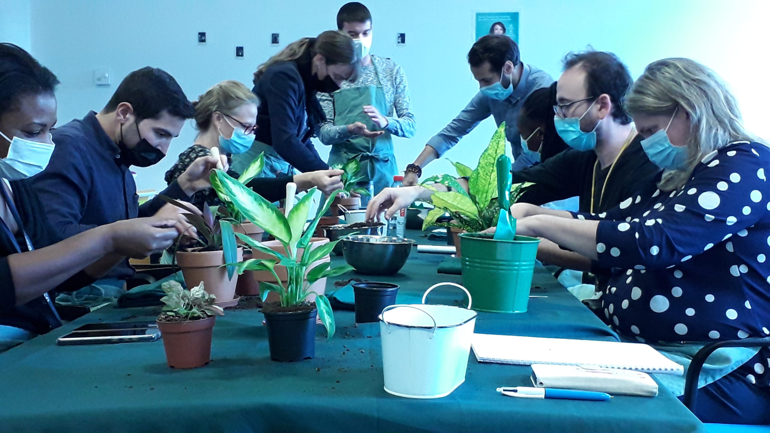 Personnes autour d'une table qui jardinent