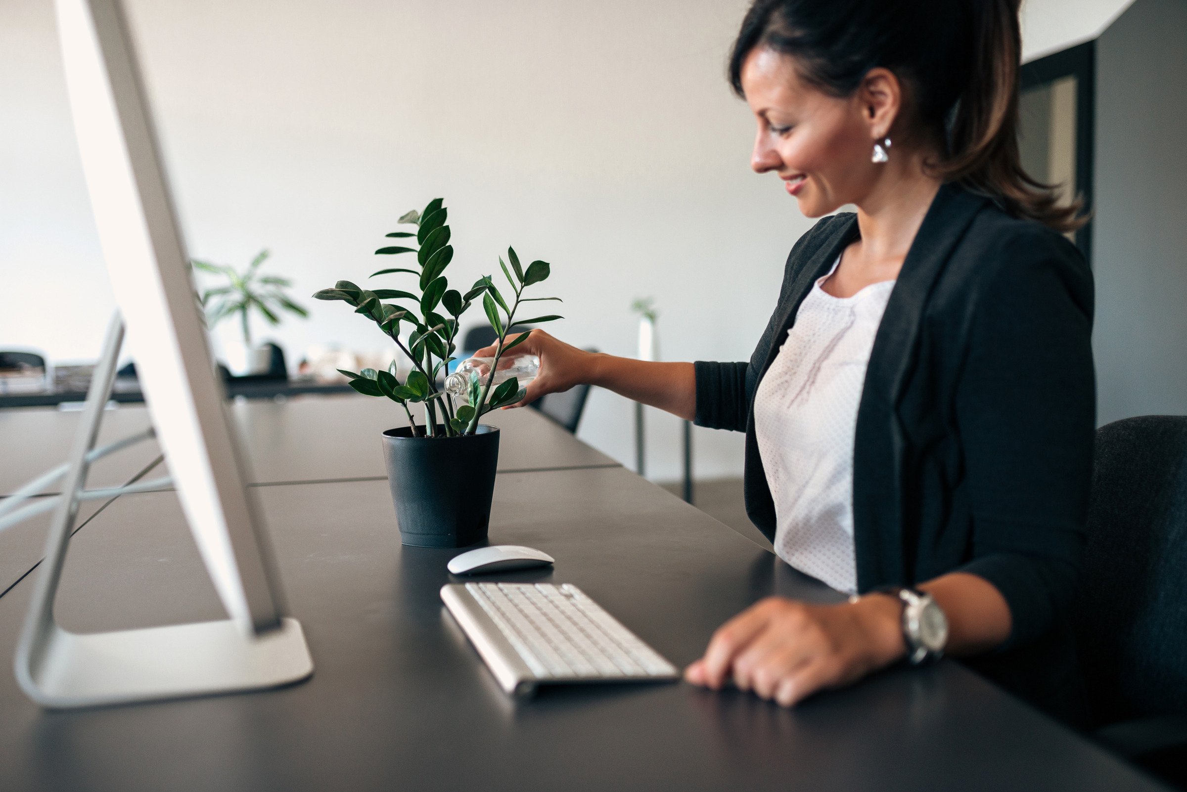 végétaliser son bureau professionnel : femme qui arrose une plante en pot sur son bureau