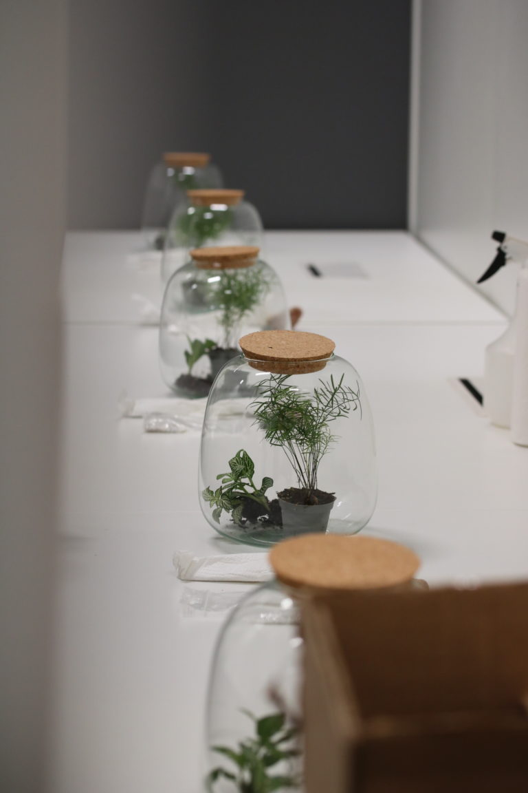 Terrariums sur une table