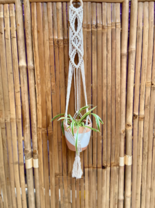 Plante dans une suspension en macramé