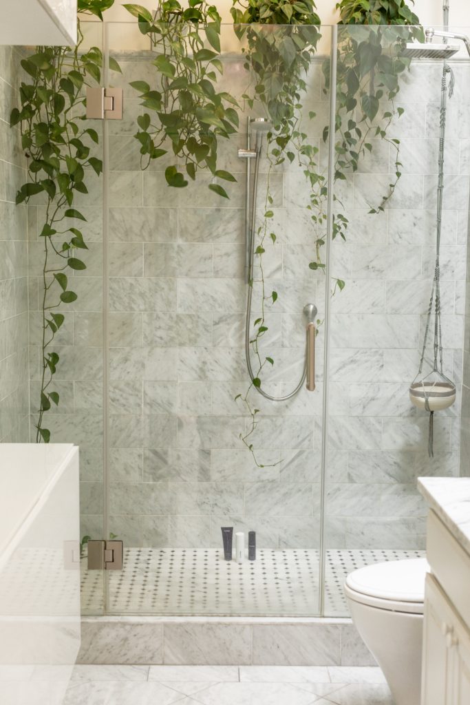 Eucalyptus accroché dans la douche vitrée de la salle de bain