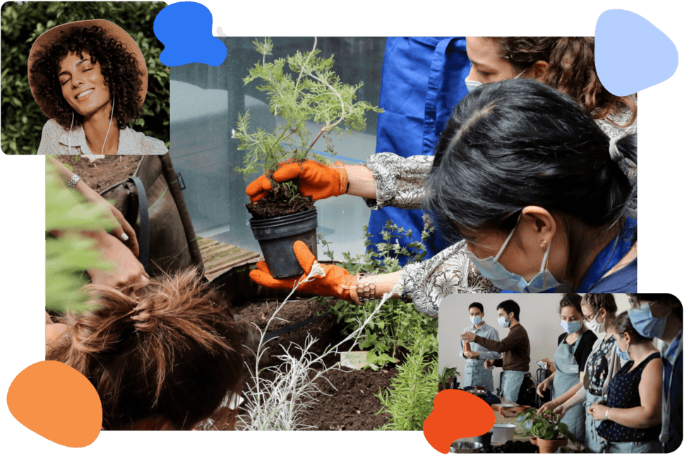 potager d'entreprise et animation jardinage team building paris lyon, bordeau fresque du climat 2023