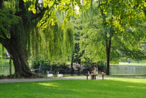 une femme assise sur un banc dans un parc, avec mare en face d'elle et deux canards