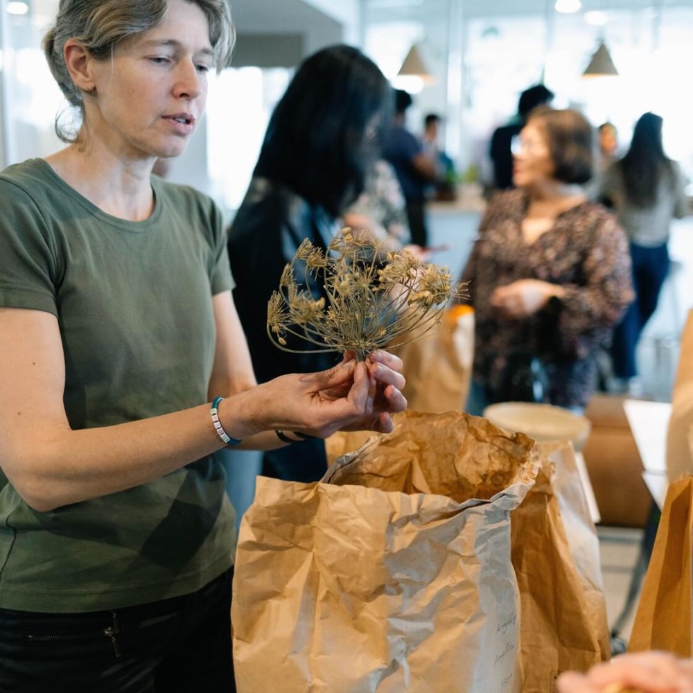 herboriste qui présente des plantes médicinales lors d'une animation teambuilding infusion