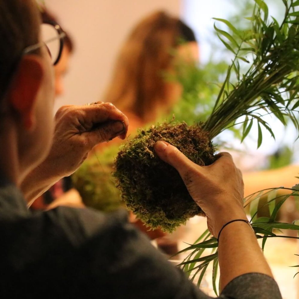 Atelier teambuilding de kokedama en Île-de-France, où les collaborateurs créent des compositions végétales pour renforcer la cohésion.